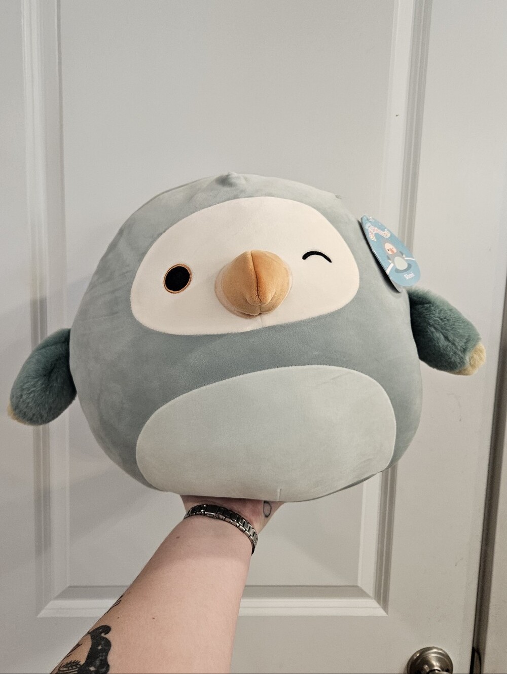 Shoni the Dodo Bird Squishmallow